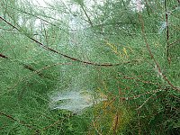 Bild: Natur genie&szlig;en