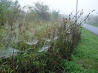 Bild: Natur genie&szlig;en
