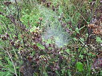 Bild: Natur genie&szlig;en