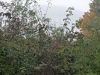 Bild: Natur genie&szlig;en