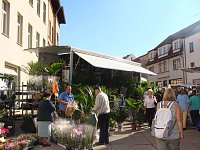 Bild: Wetter stimmte zum Zwiebelmarkt