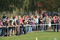 Bild: 12. Mops-Rennen