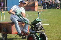 Bild: 12. Mops-Rennen