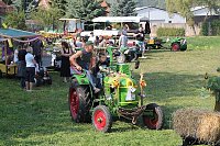 Bild: 12. Mops-Rennen