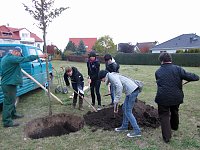 Bild: Jugendweihebaum in Bad Frankenhausen
