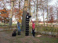 Kletterturm erobert Bild: Kletterturm erobert