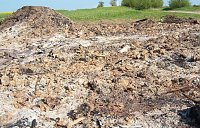 Maifeuer Großberndten Bild: Maifeuer Großberndten