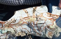 Maifeuer Großberndten Bild: Maifeuer Großberndten