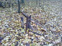 Vandalismus an Wegweisern Bild: Vandalismus an Wegweisern
