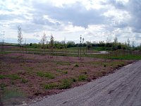 Bild: Kr&auml;utergarten Artern