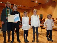 Vielfältige Laienorchester Bild: Vielfältige Laienorchester