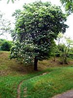 Bild: Vielfalt der Natur