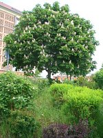 Bild: Vielfalt der Natur