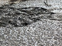 Bild: Harte Arbeit f&uuml;r sauberes Abwasser