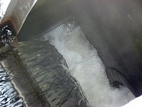 Bild: Harte Arbeit f&uuml;r sauberes Abwasser