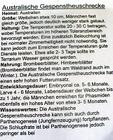 Die Welt der Riesenspinnen Bild: Die Welt der Riesenspinnen