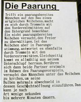 Die Welt der Riesenspinnen Bild: Die Welt der Riesenspinnen