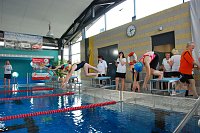 Stadtmeisterschaften im Schwimmen Bild: Stadtmeisterschaften im Schwimmen