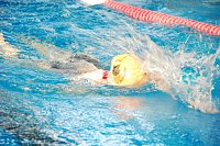 Stadtmeisterschaften im Schwimmen Bild: Stadtmeisterschaften im Schwimmen