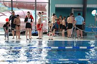 Stadtmeisterschaften im Schwimmen Bild: Stadtmeisterschaften im Schwimmen