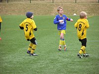 Wacker gegen Eintracht (Nachwuchs) Bild: Wacker gegen Eintracht (Nachwuchs)