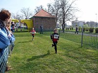 34. Kyffhäuserberglauf (2) Bild: 34. Kyffhäuserberglauf (2)