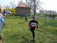34. Kyffhäuserberglauf (2) Bild: 34. Kyffhäuserberglauf (2)