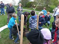 Bild: Baum des Jahres gepflanzt