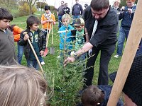Bild: Baum des Jahres gepflanzt
