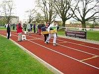 Bild: Schulsportfest - Spa&szlig;olympiade