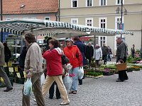 Bild: Blumige F&uuml;lle