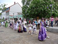 Bild: Fliederfest gestartet