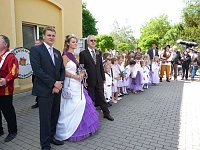 Bild: Flieder geehrt