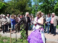 Bild: Flieder geehrt