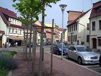 Bild: Artern ver&auml;ndert sich