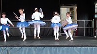 Bild: Impressionen Residenzfest