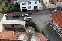 Bild: Jungst&ouml;rche werden beringt