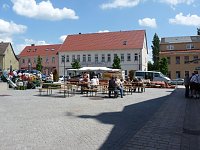 Apfelschnäpper vermisst Bild: Apfelschnäpper vermisst