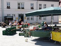 Apfelschnäpper vermisst Bild: Apfelschnäpper vermisst