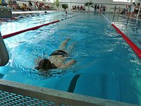Spannende Schwimmduelle Bild: Spannende Schwimmduelle
