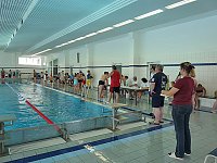 Spannende Schwimmduelle Bild: Spannende Schwimmduelle