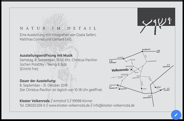 Spannende Schwimmduelle Bild: Spannende Schwimmduelle