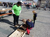 Bild: 15. Kinder- und Familienfest (1)