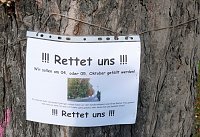Bild: Rettet uns