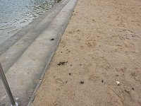 Bild: St&uuml;rmisches Abbaden
