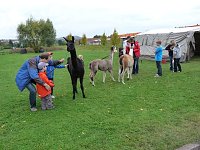 Kinderfest des SGW Bild: Kinderfest des SGW
