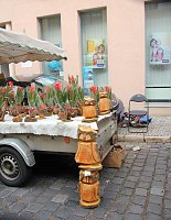 Bild: Besuch auf dem Zwiebelmarkt