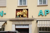 Bild: Besuch auf dem Zwiebelmarkt