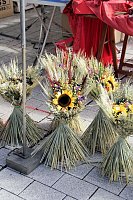 Bild: Besuch auf dem Zwiebelmarkt