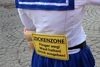 Bild: Umzug in Sondershausen